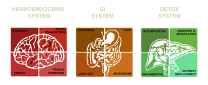 systems-chart-v1