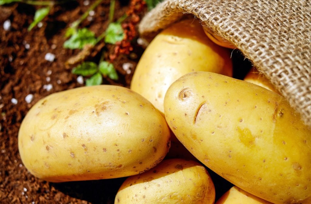 Potatoes for gut health and weight loss The Potato Hack Origins Medicine